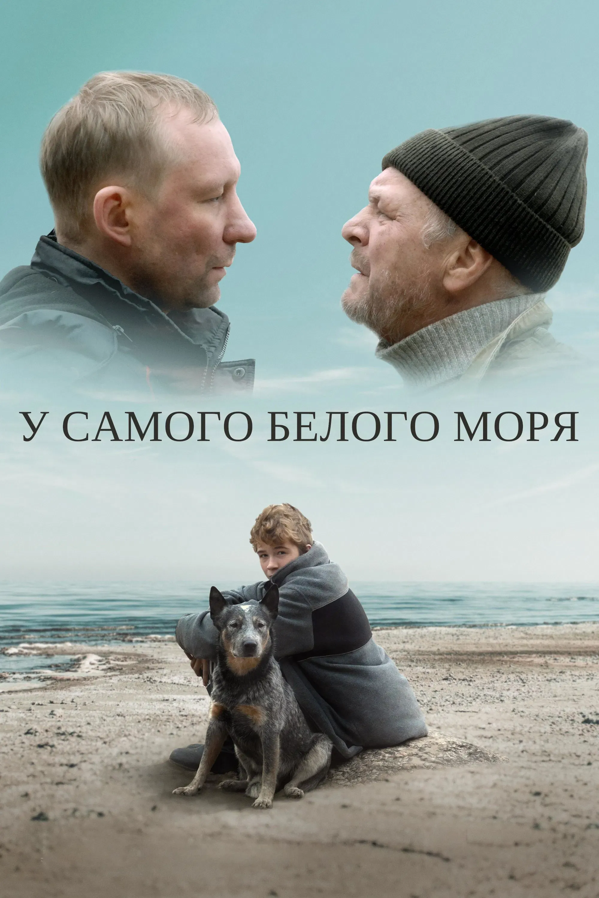 Poster of the movie By The White Sea