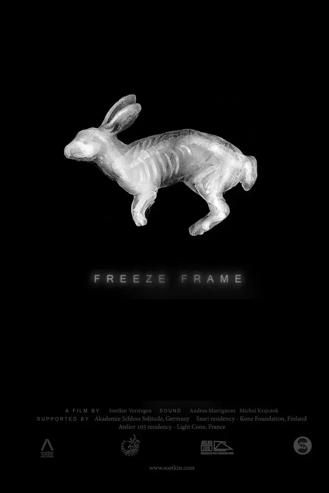 Poster of the movie Freeze Frame