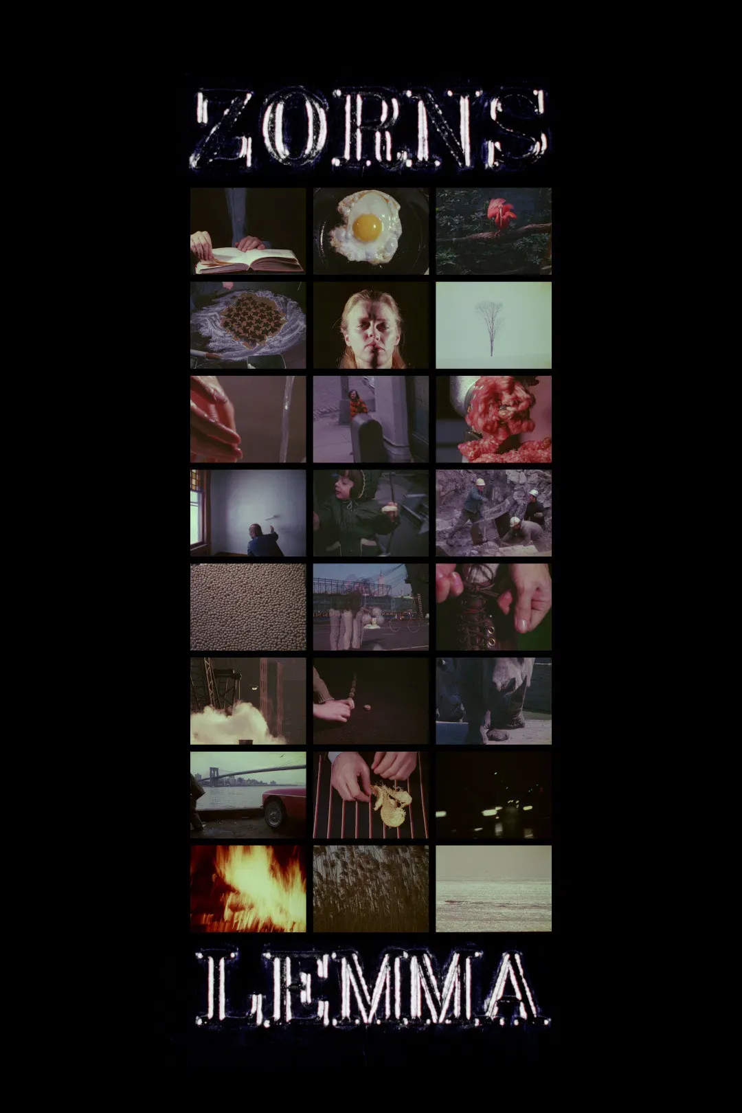 Poster of the movie Zorns Lemma