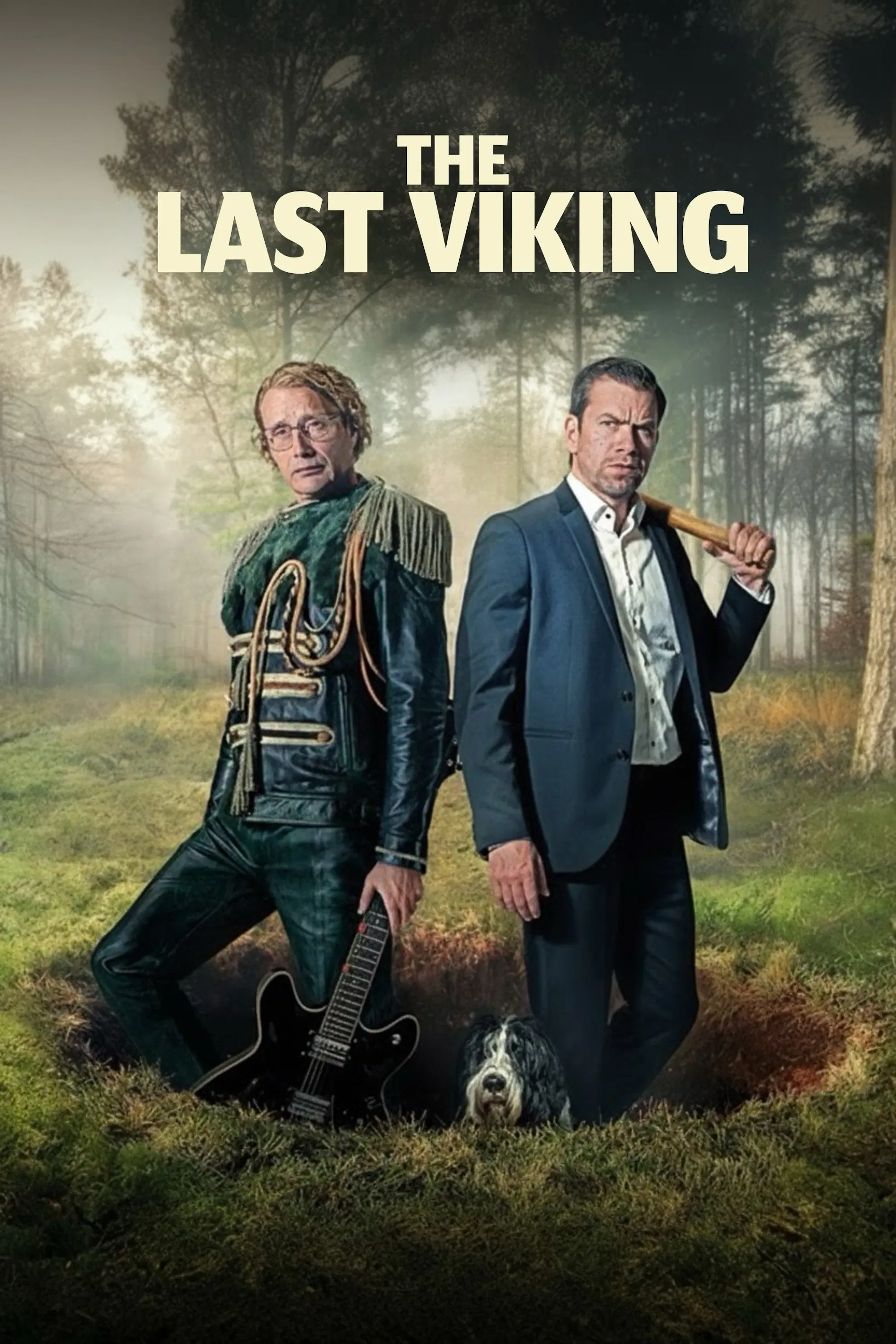 Poster of the movie The Last Viking