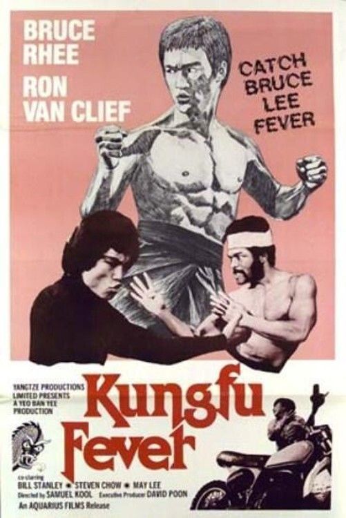 Poster of the movie Kung Fu Fever