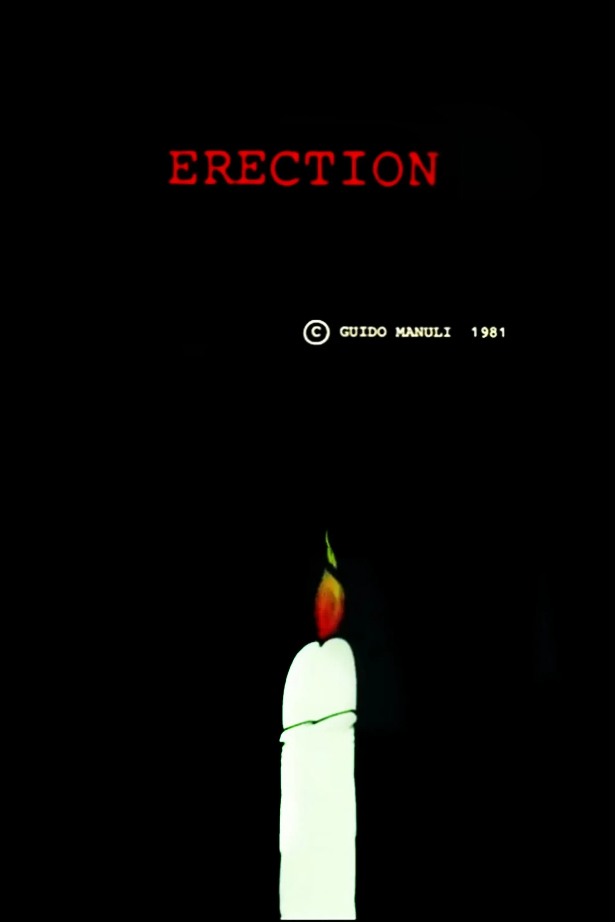 Poster of the movie Erection