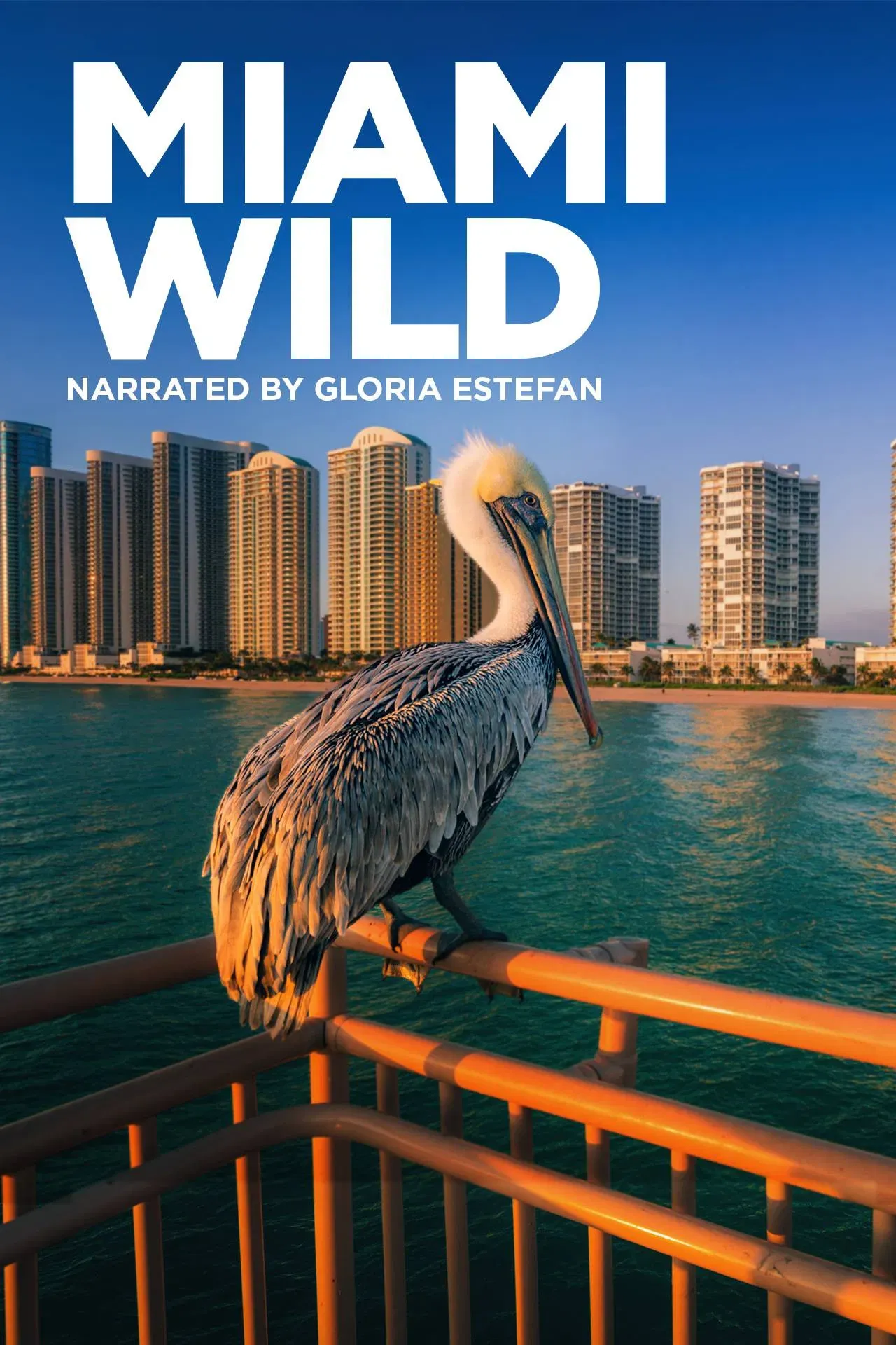 Poster of the movie Miami Wild