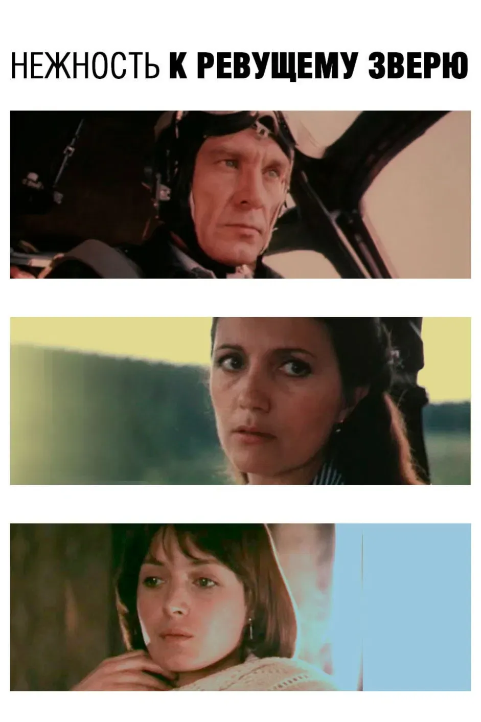 Poster of the movie Tenderness for the Roaring Beast