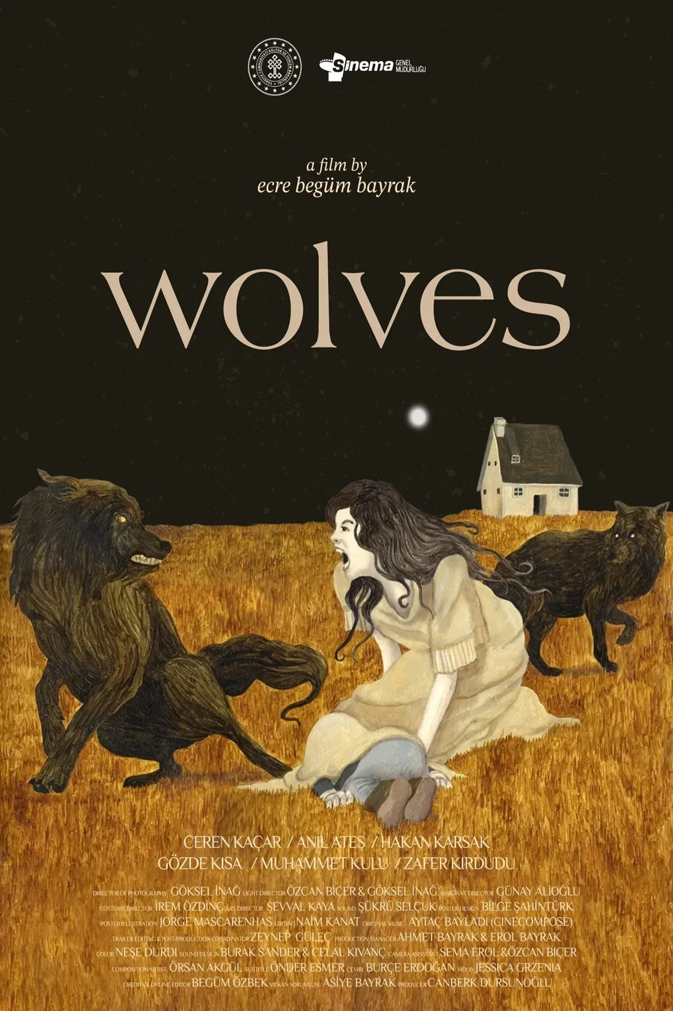 Poster of the movie Wolves