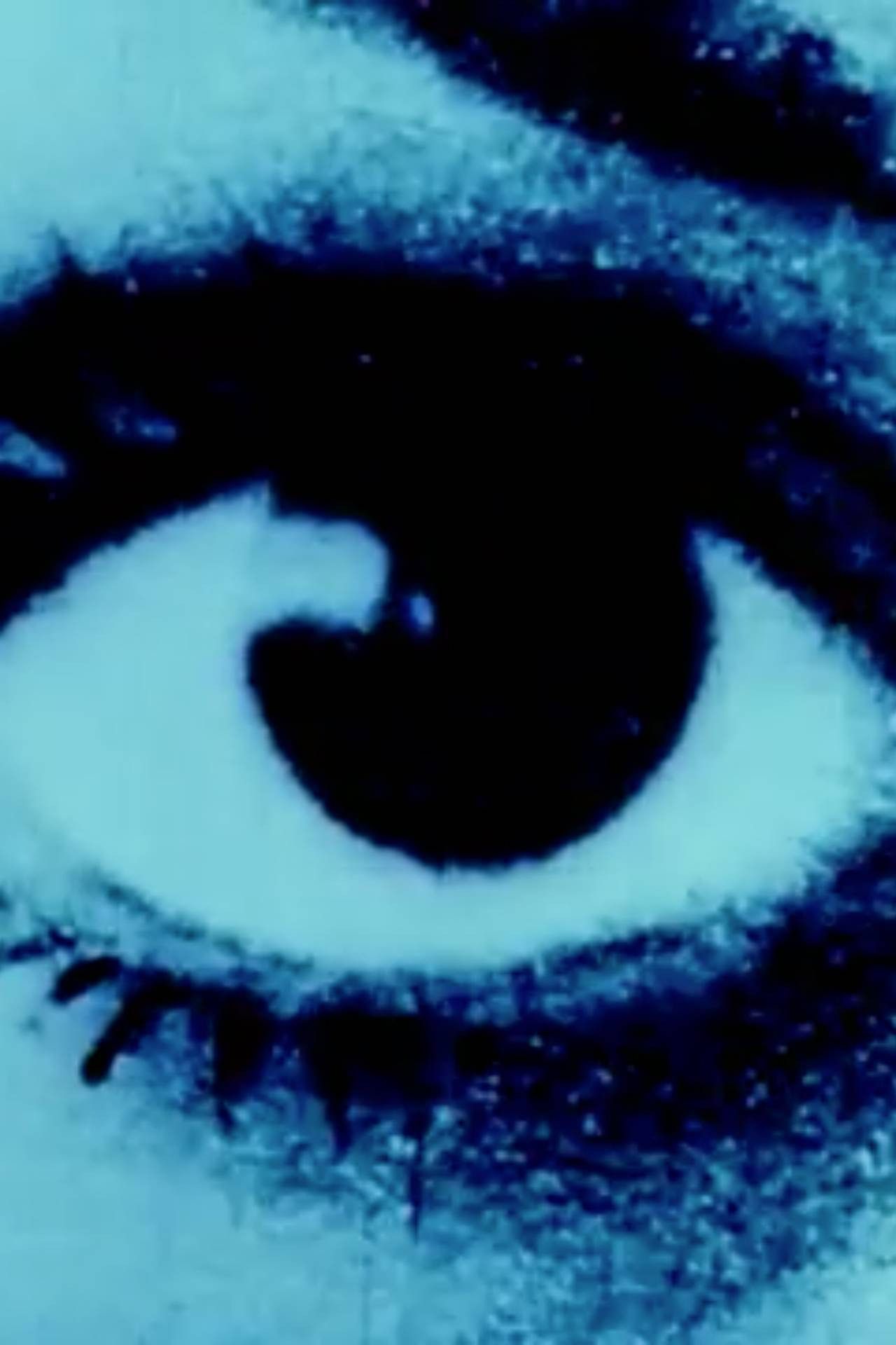 Poster of the movie Banner of Youth