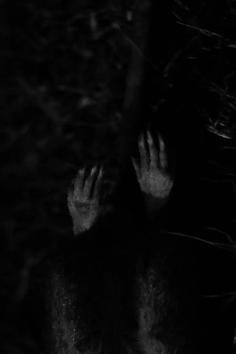 Poster of the movie Cadaverous Sonneteer