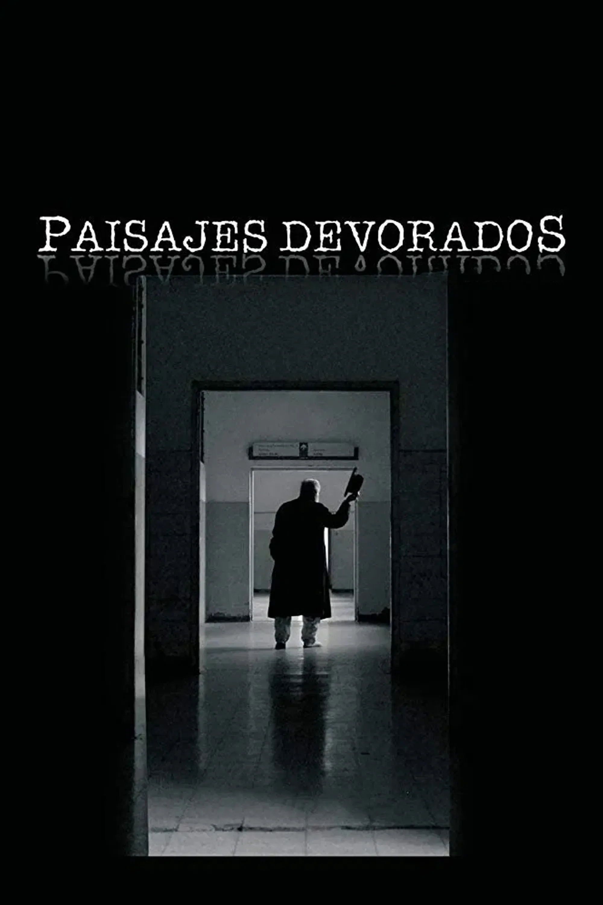 Poster of the movie Vanishing Landscapes