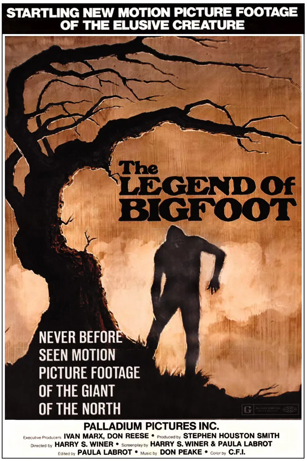 Poster of the movie The Legend of Bigfoot