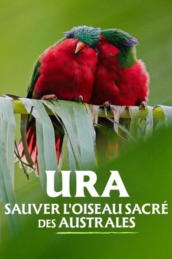 Poster of the movie Ura, sauver l'oiseau sacré des australes