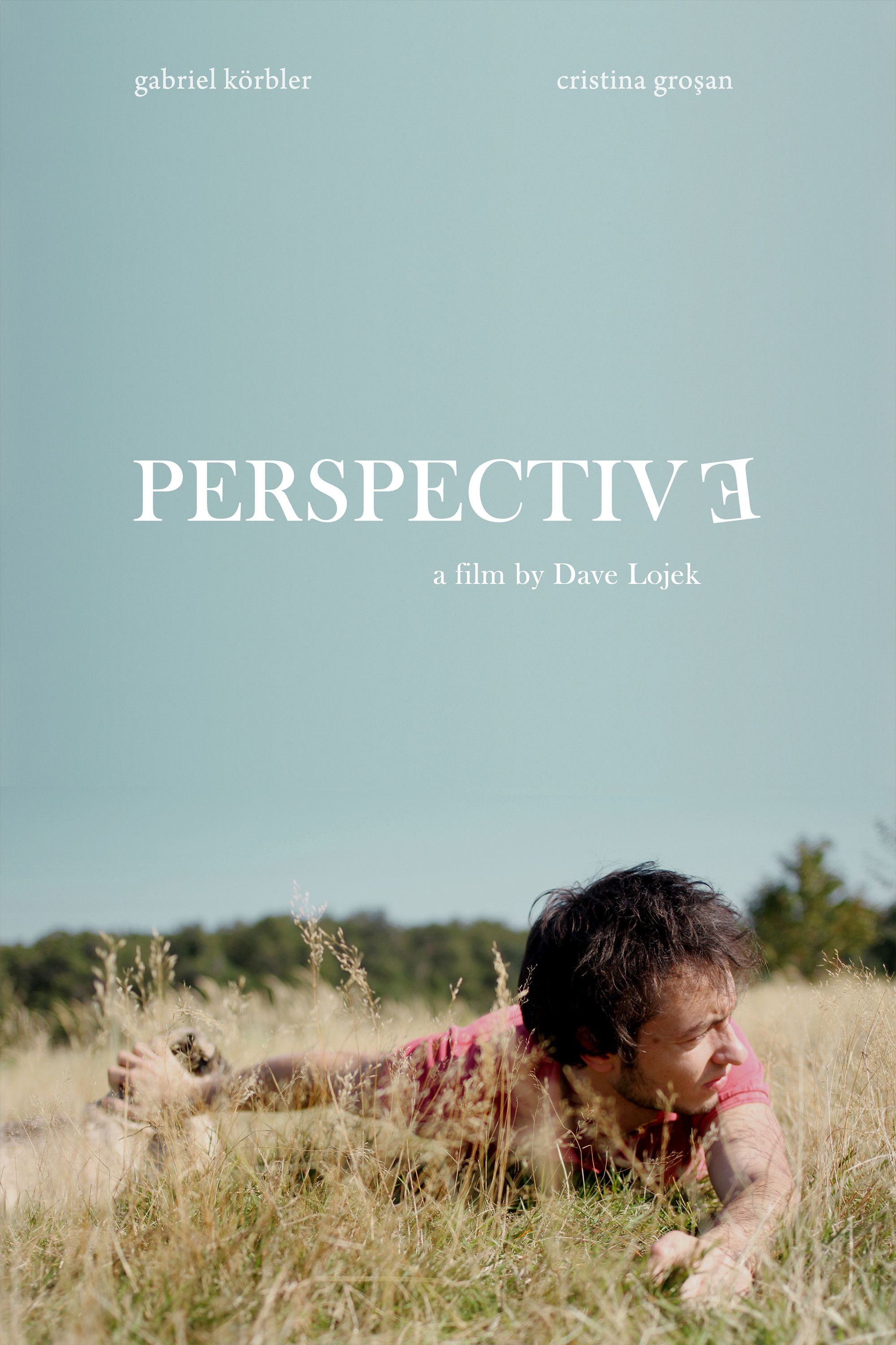 Poster of the movie Perspective