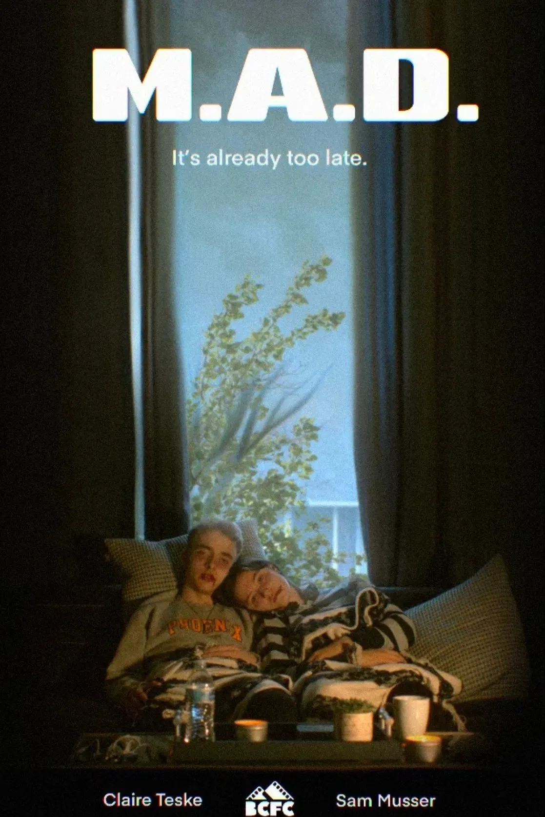 Poster of the movie M.A.D.