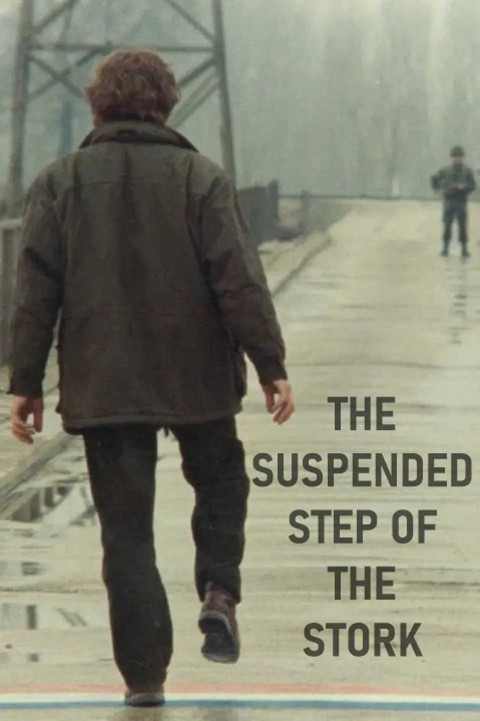 Poster of the movie The Suspended Step of the Stork