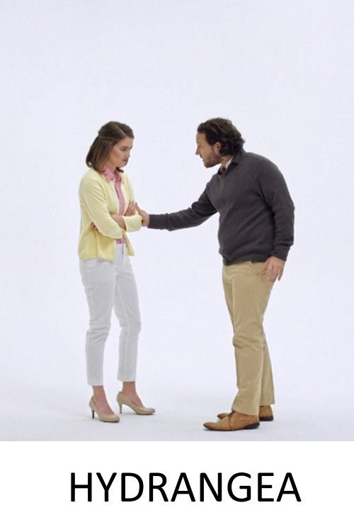 Poster of the movie Hydrangea