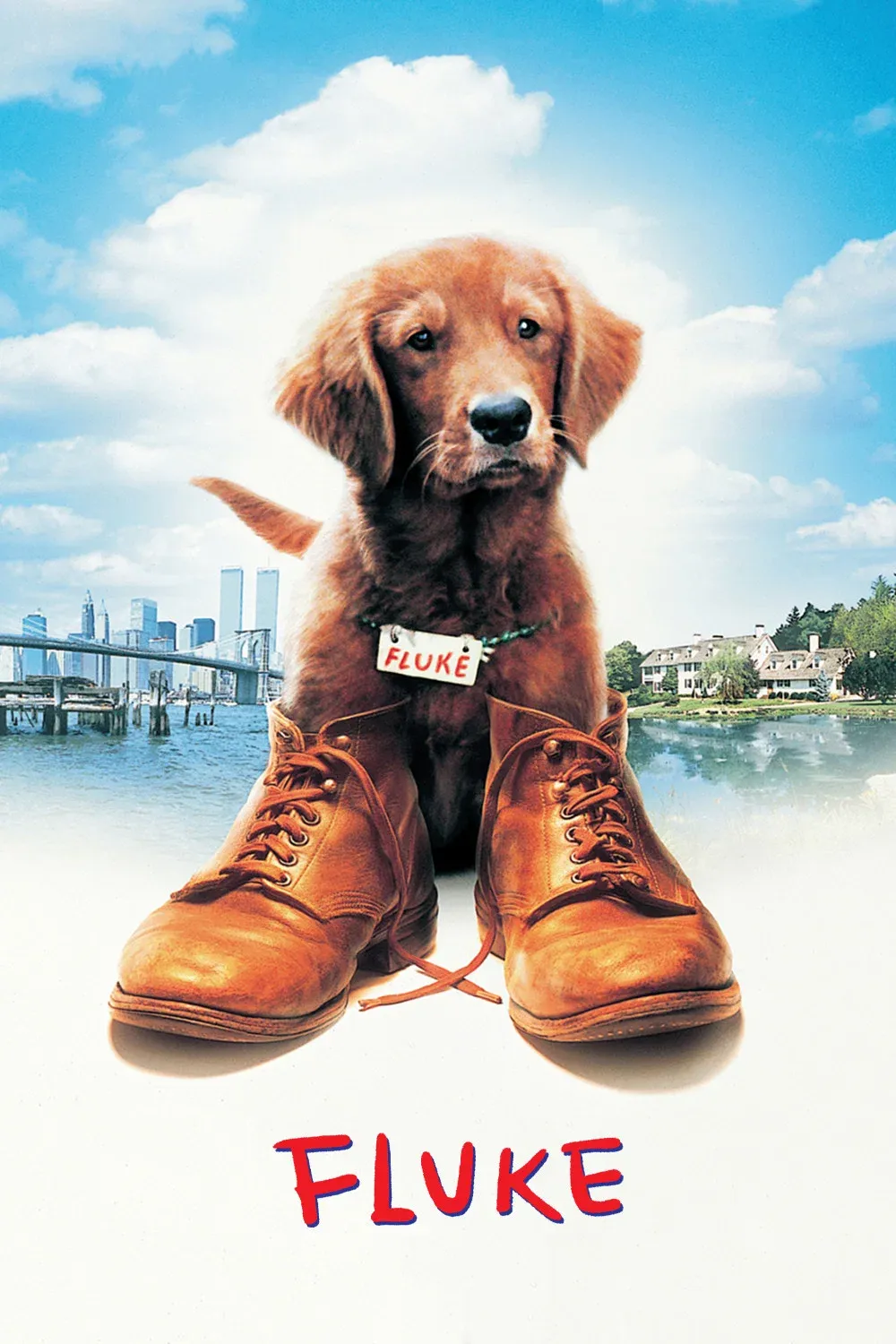 Poster of the movie Fluke