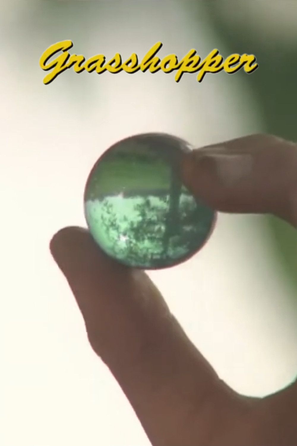 Poster of the movie Grasshopper