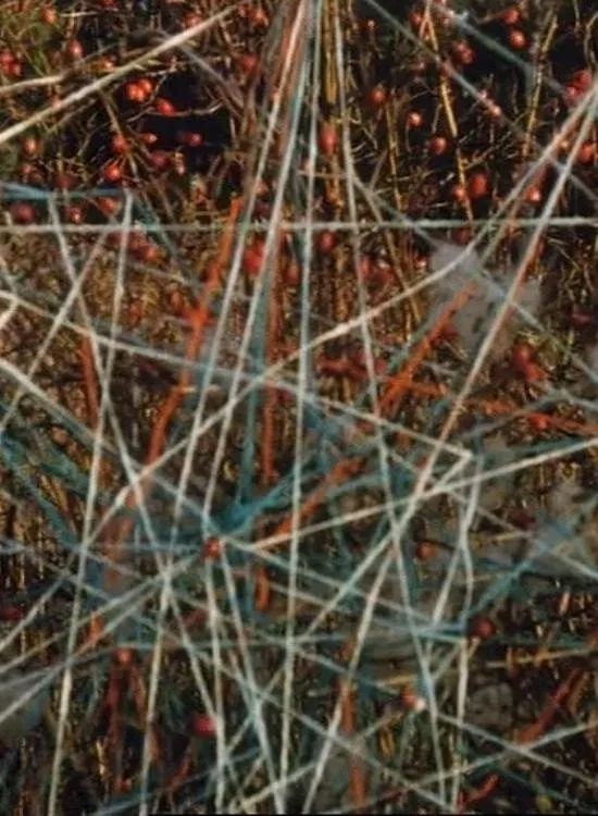 Poster of the movie Toying with Strings