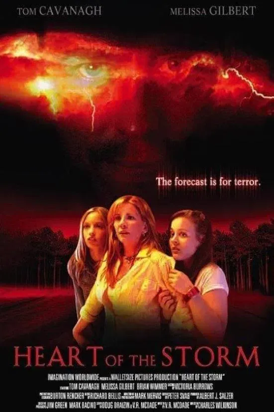Poster of the movie Heart of the Storm