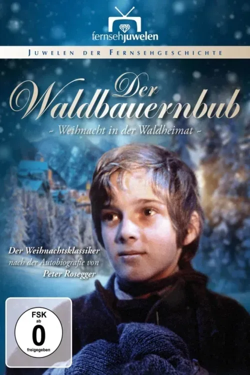 Poster of the movie Der Waldbauernbub - Weihnacht in der Waldheimat