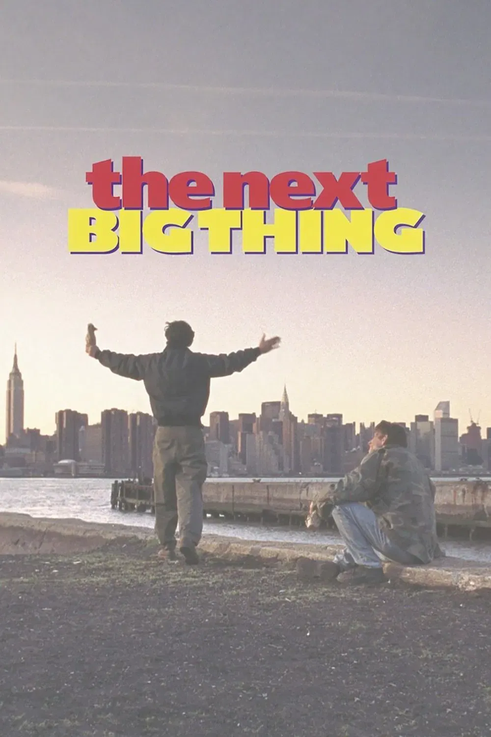 Poster of the movie The Next Big Thing