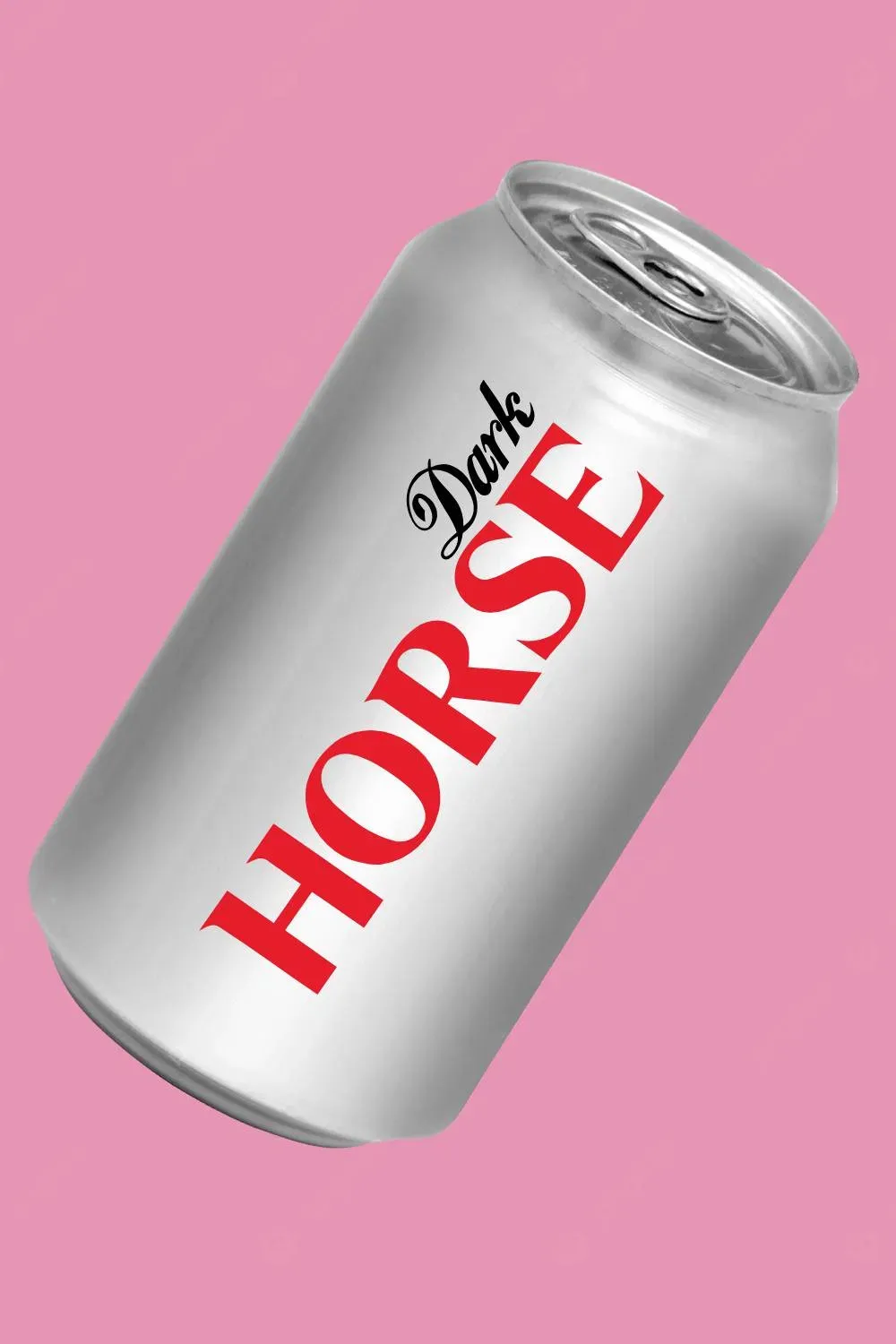 Poster of the movie Dark Horse