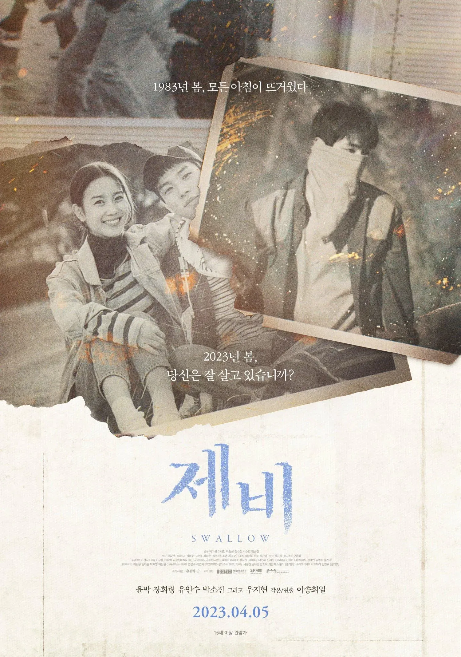 Poster for Swallow