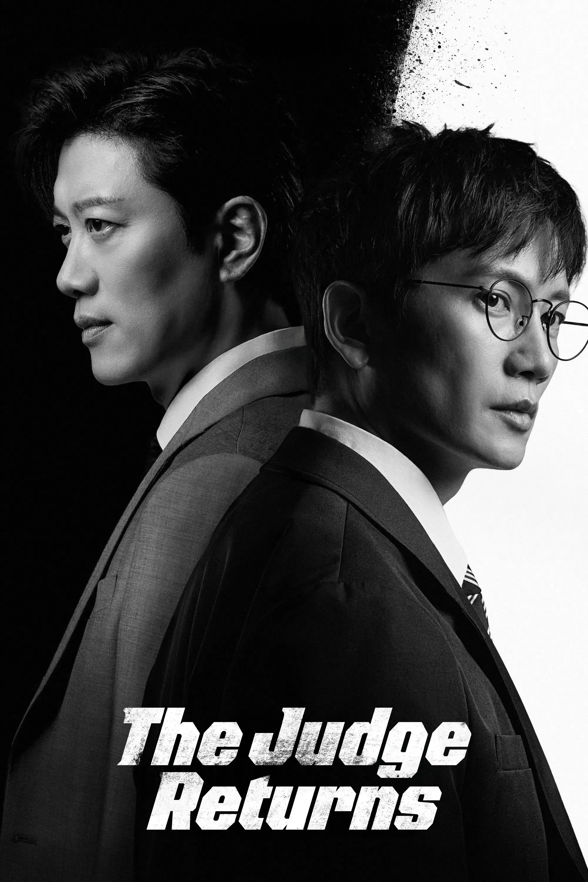 Poster of The Judge Returns