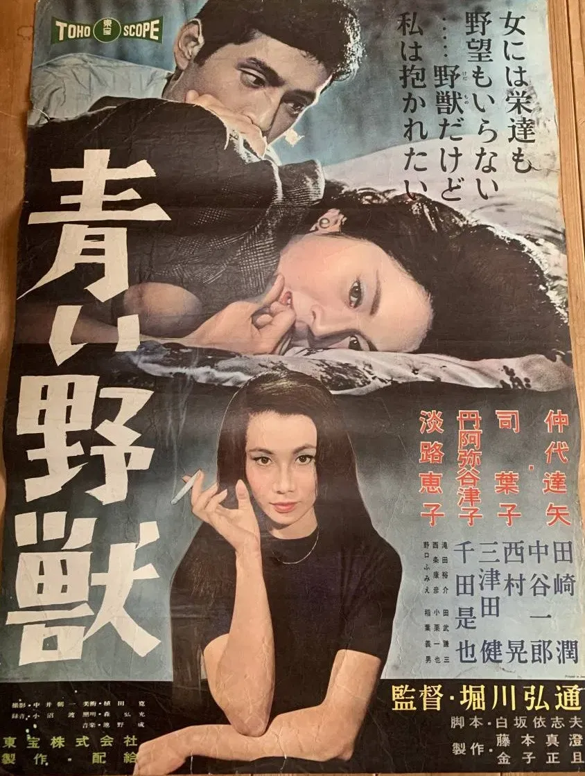 Poster of the movie The Blue Beast