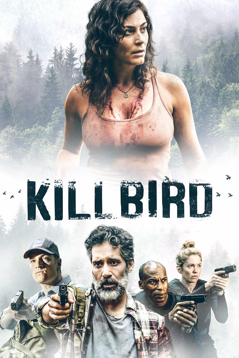 Poster of the movie Killbird