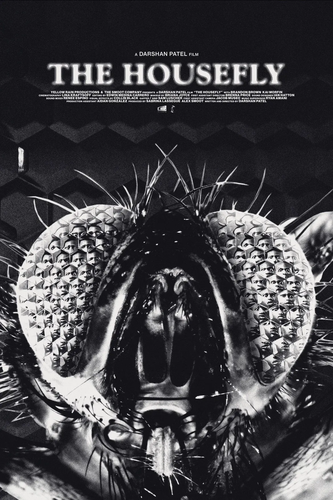 Poster for The Housefly