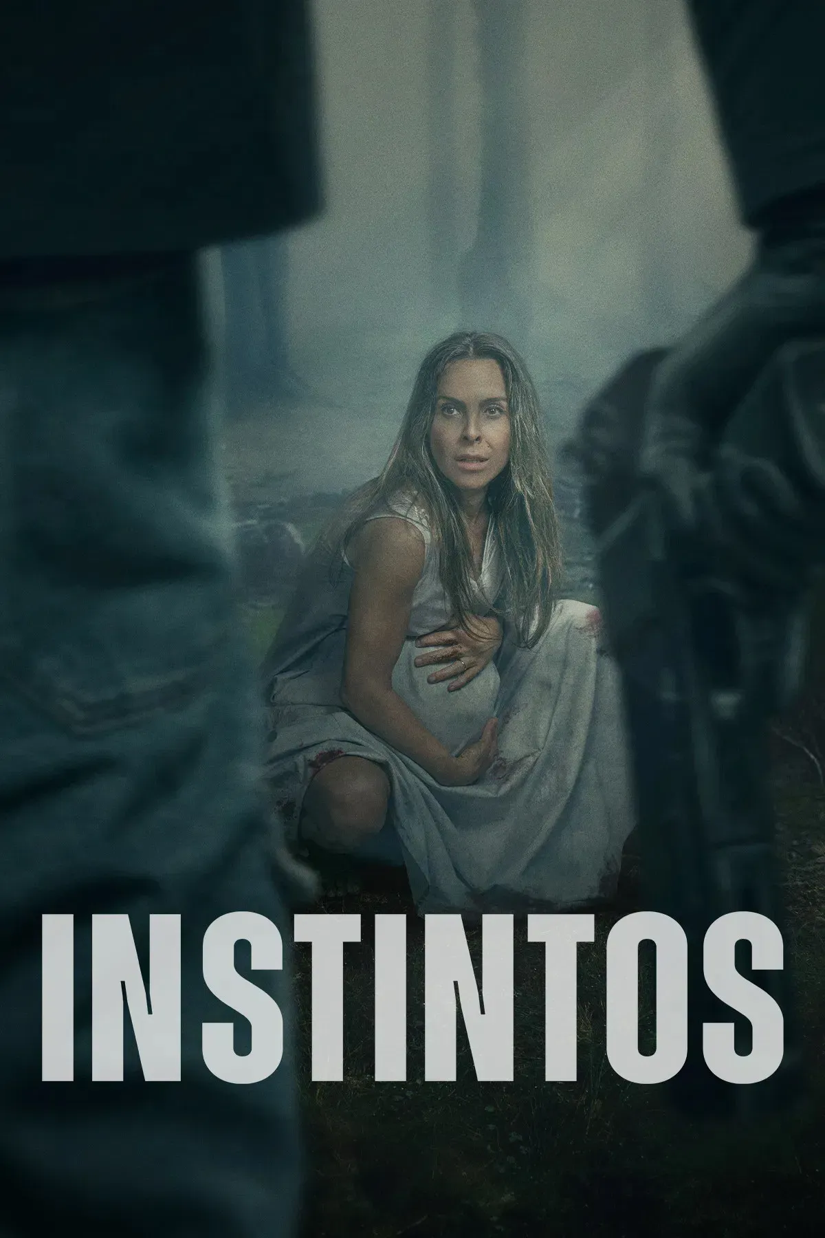 Poster of the movie Instincts