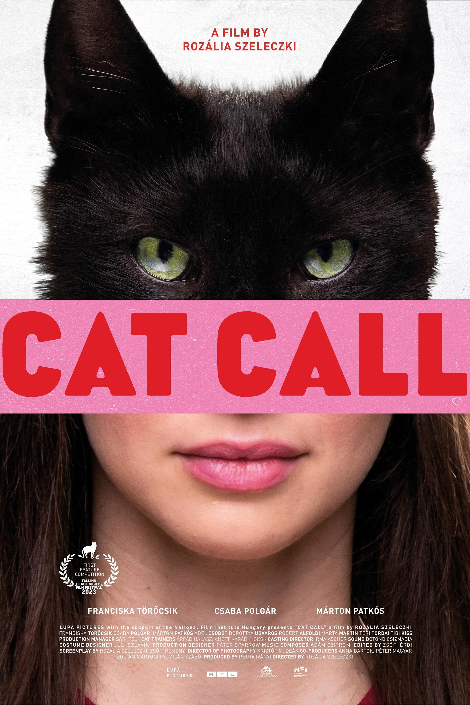Poster of the movie Cat Call