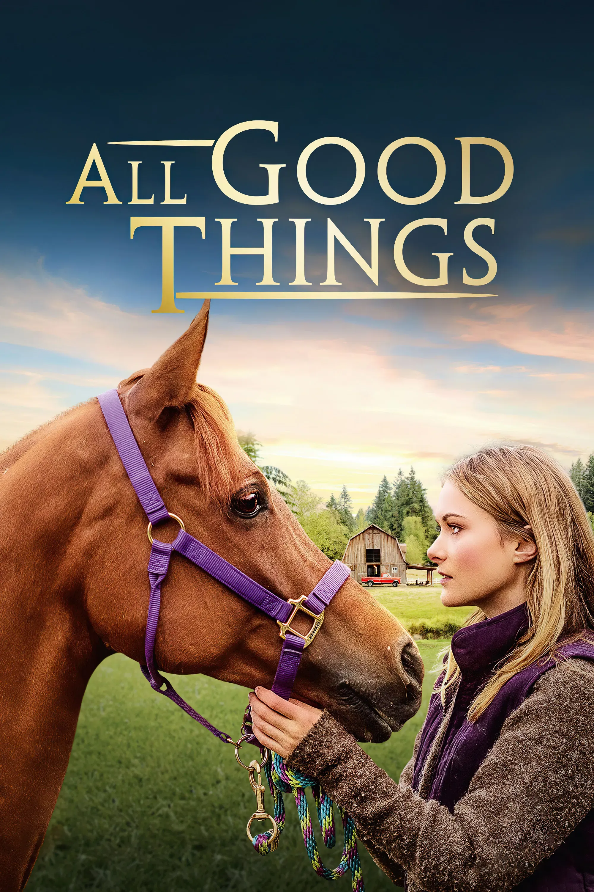 Poster of the movie All Good Things
