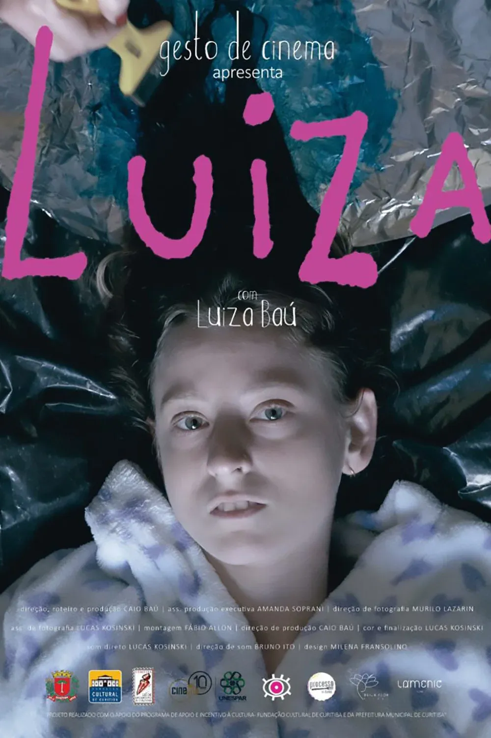 Poster for Luiza