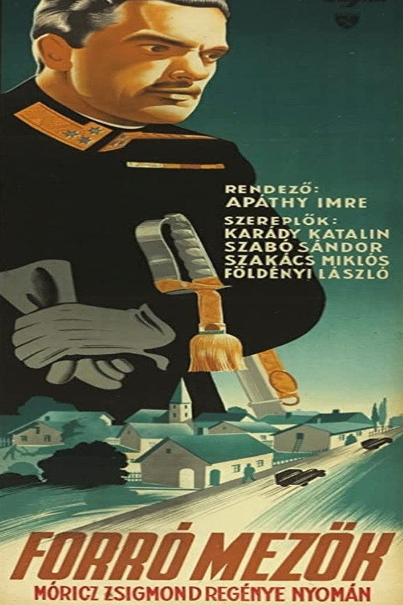Poster for Hot Fields