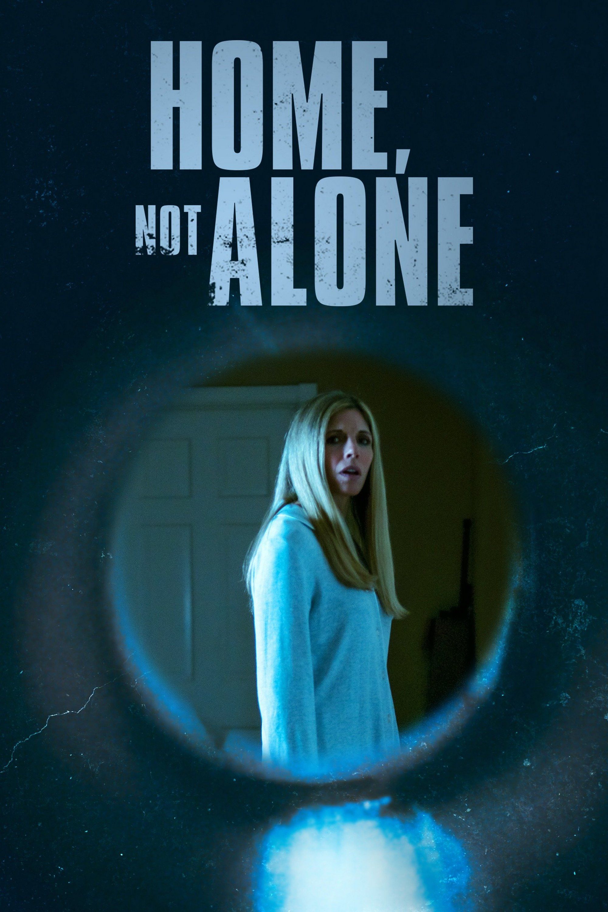 Poster of the movie Home, Not Alone