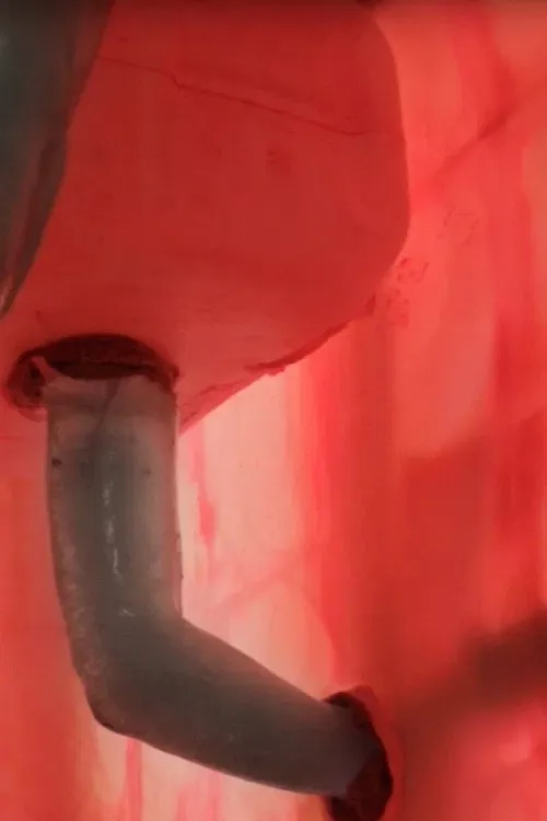 Poster of the movie False Water