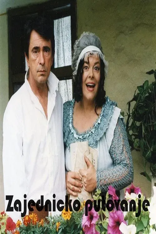 Poster of the movie A Joint Journey