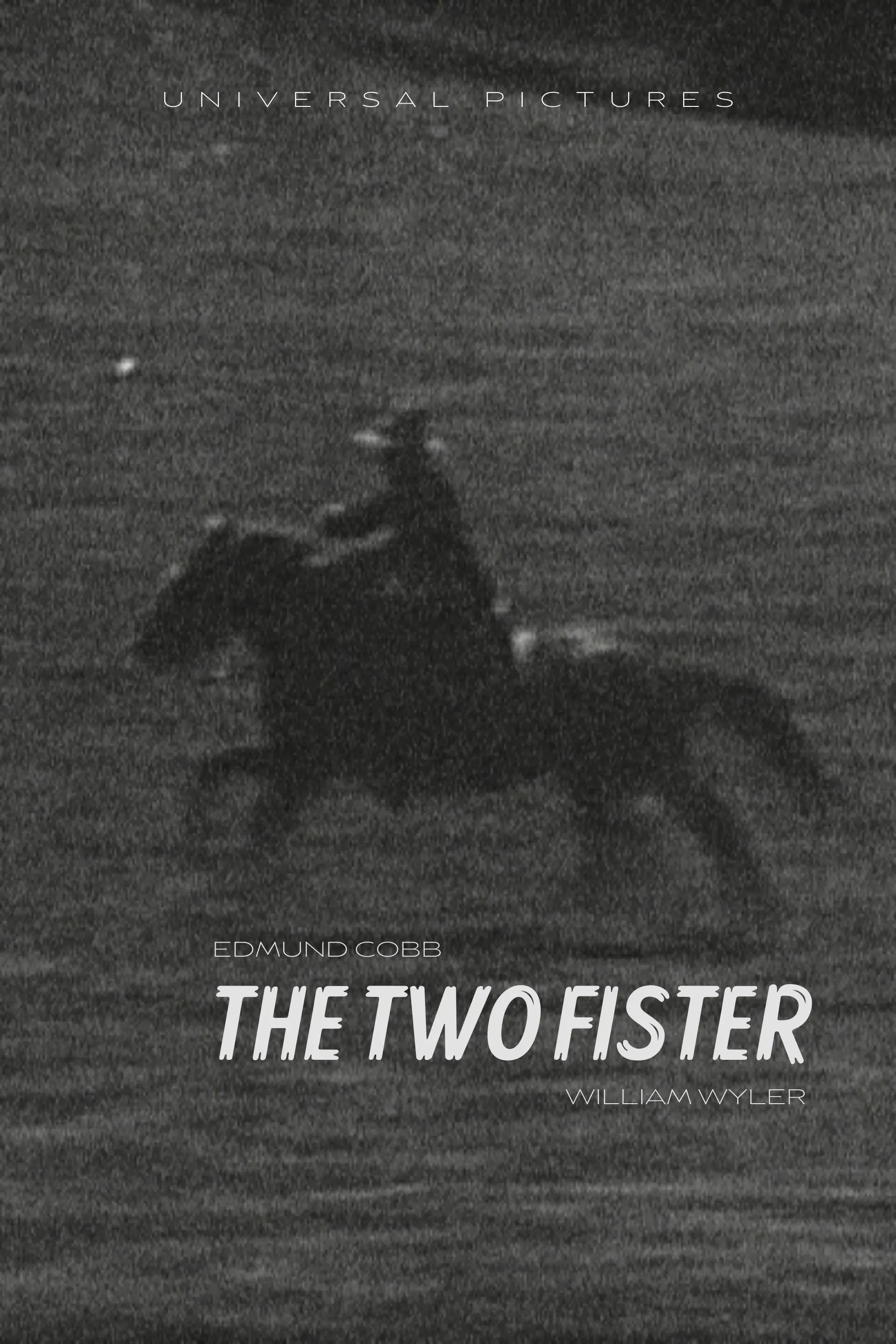 Poster of the movie The Two Fister