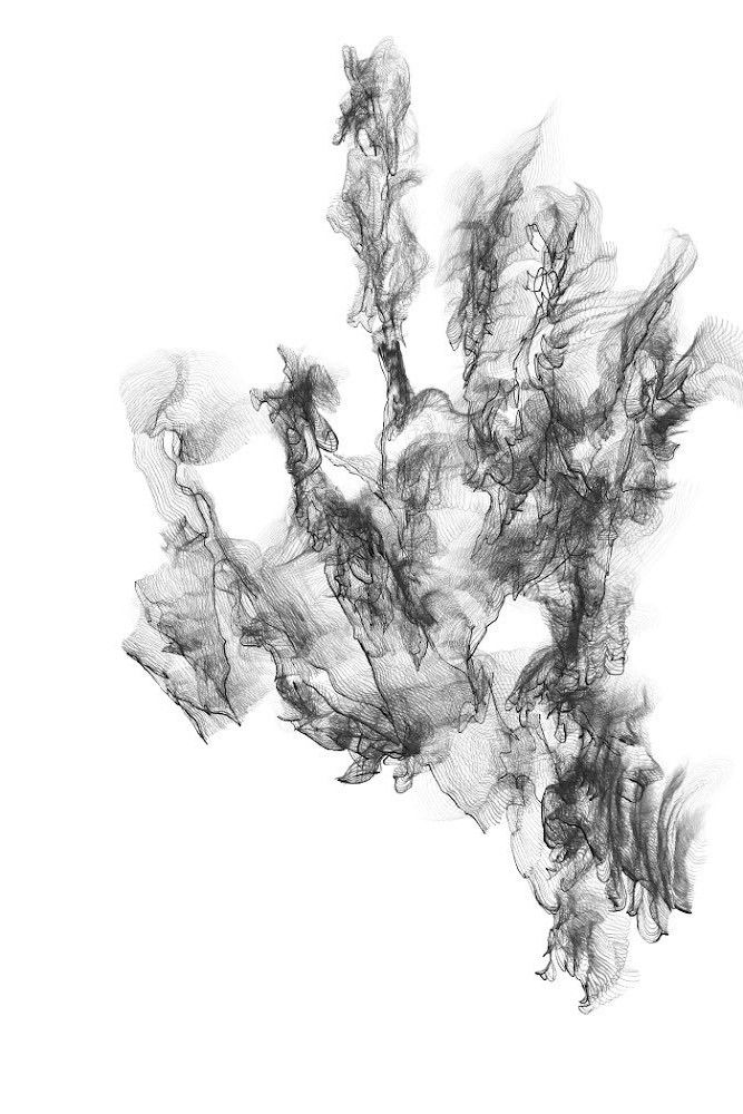 Poster of the movie Perennial Stream