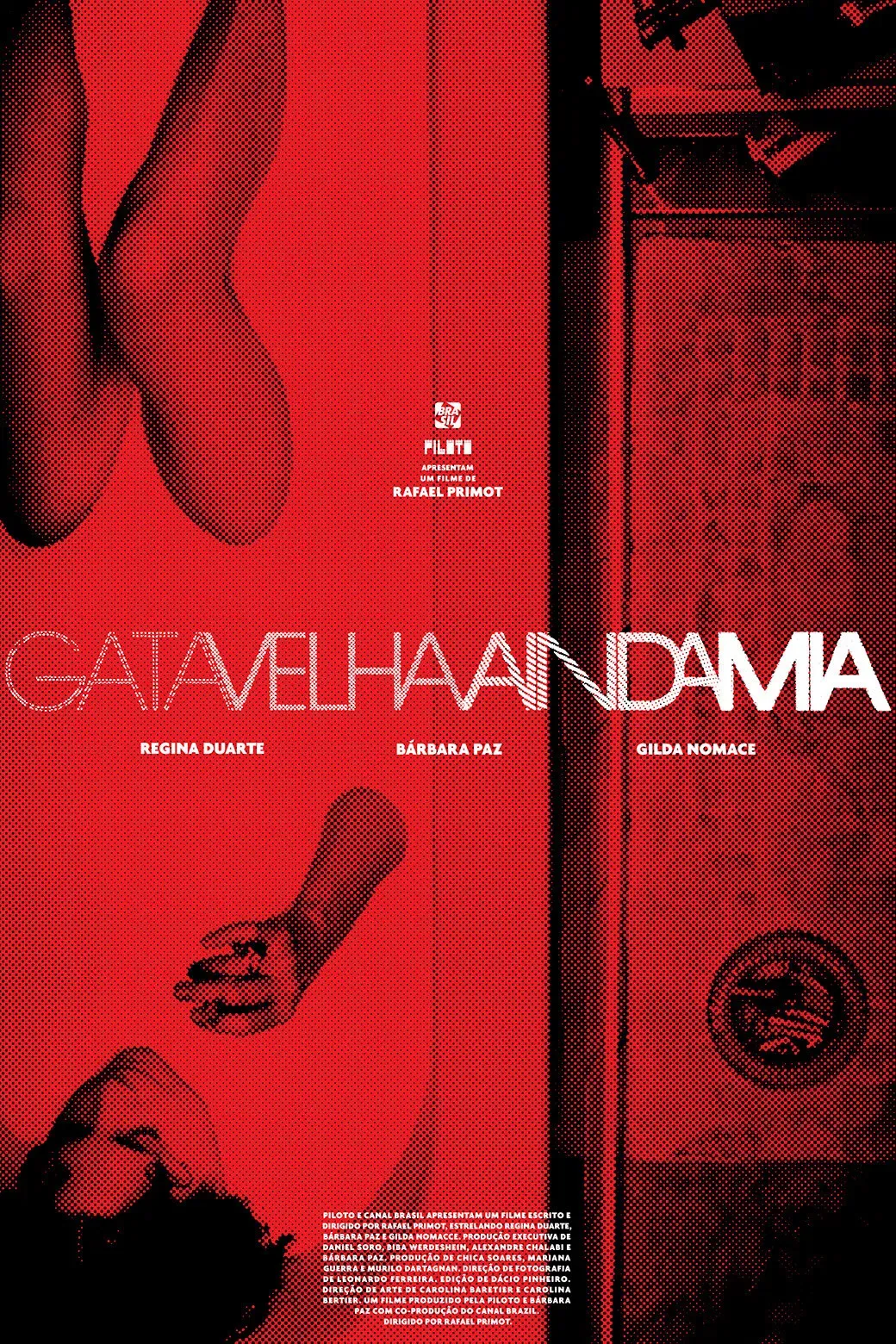 Poster of the movie Never Too Old to Meow