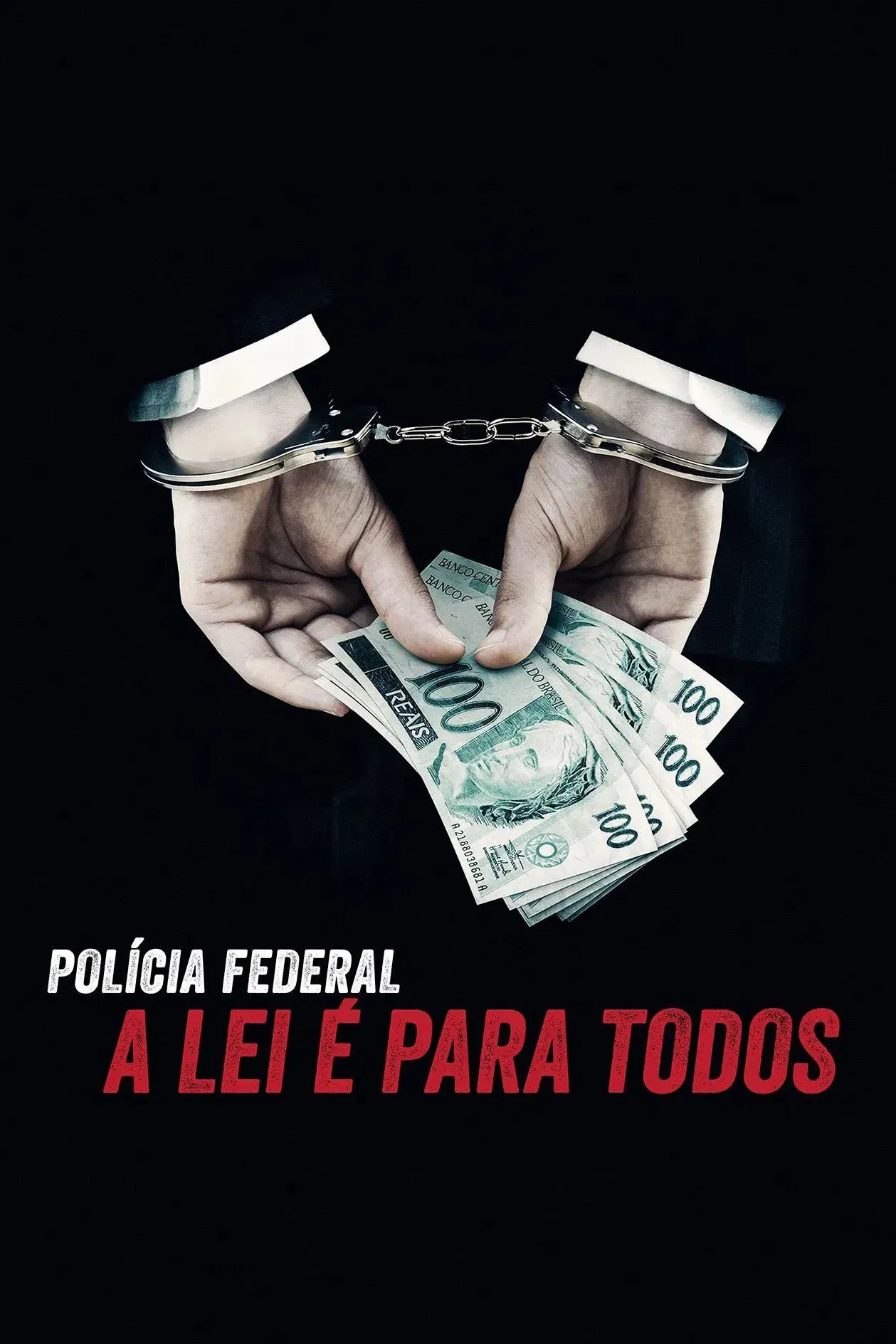 Poster of the movie Operation Carwash: A Worldwide Corruption Scandal Made in Brazil