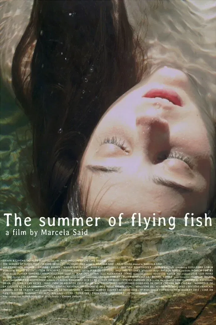 Poster of the movie The Summer of Flying Fish