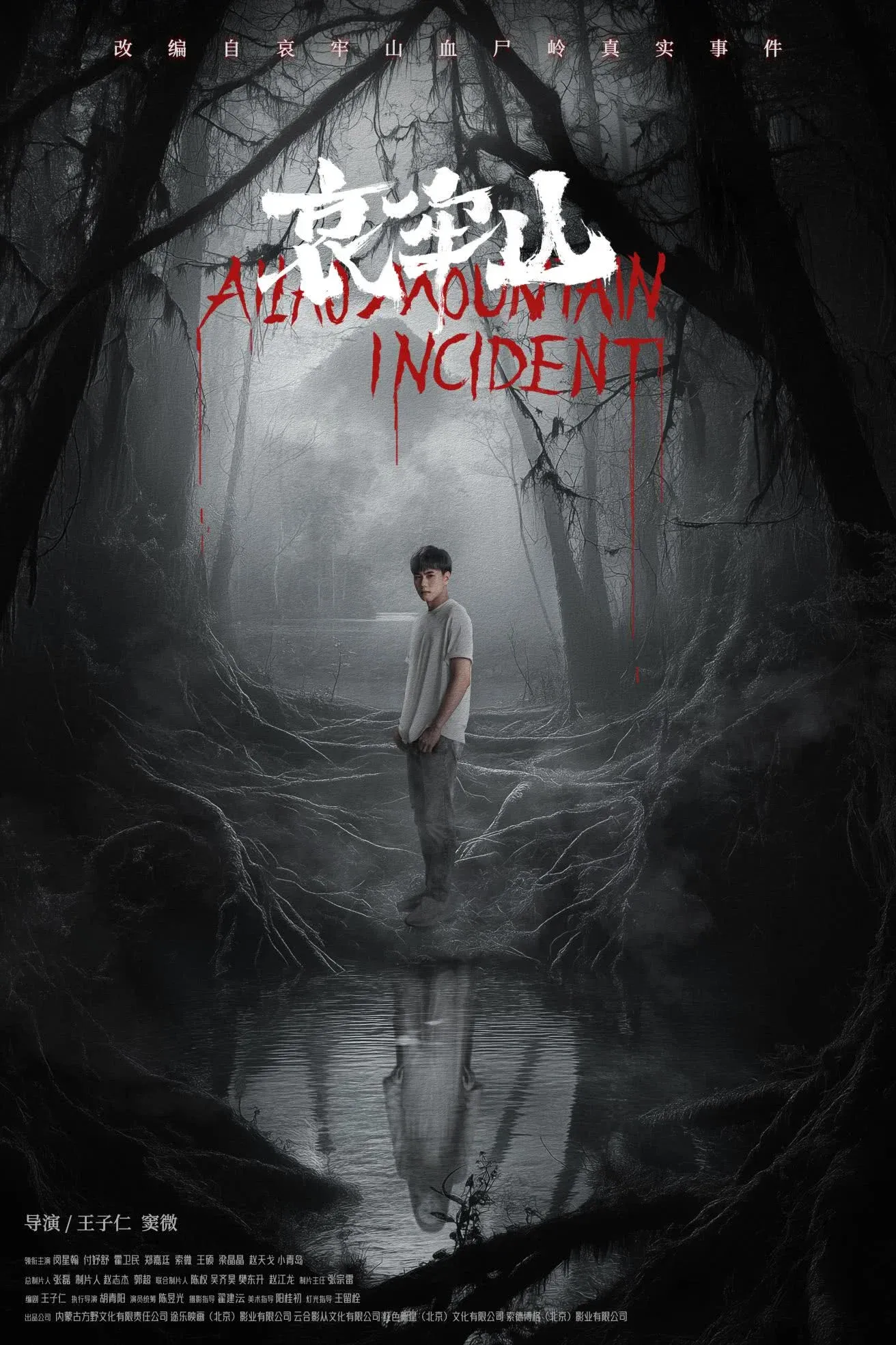 Poster for 哀牢山