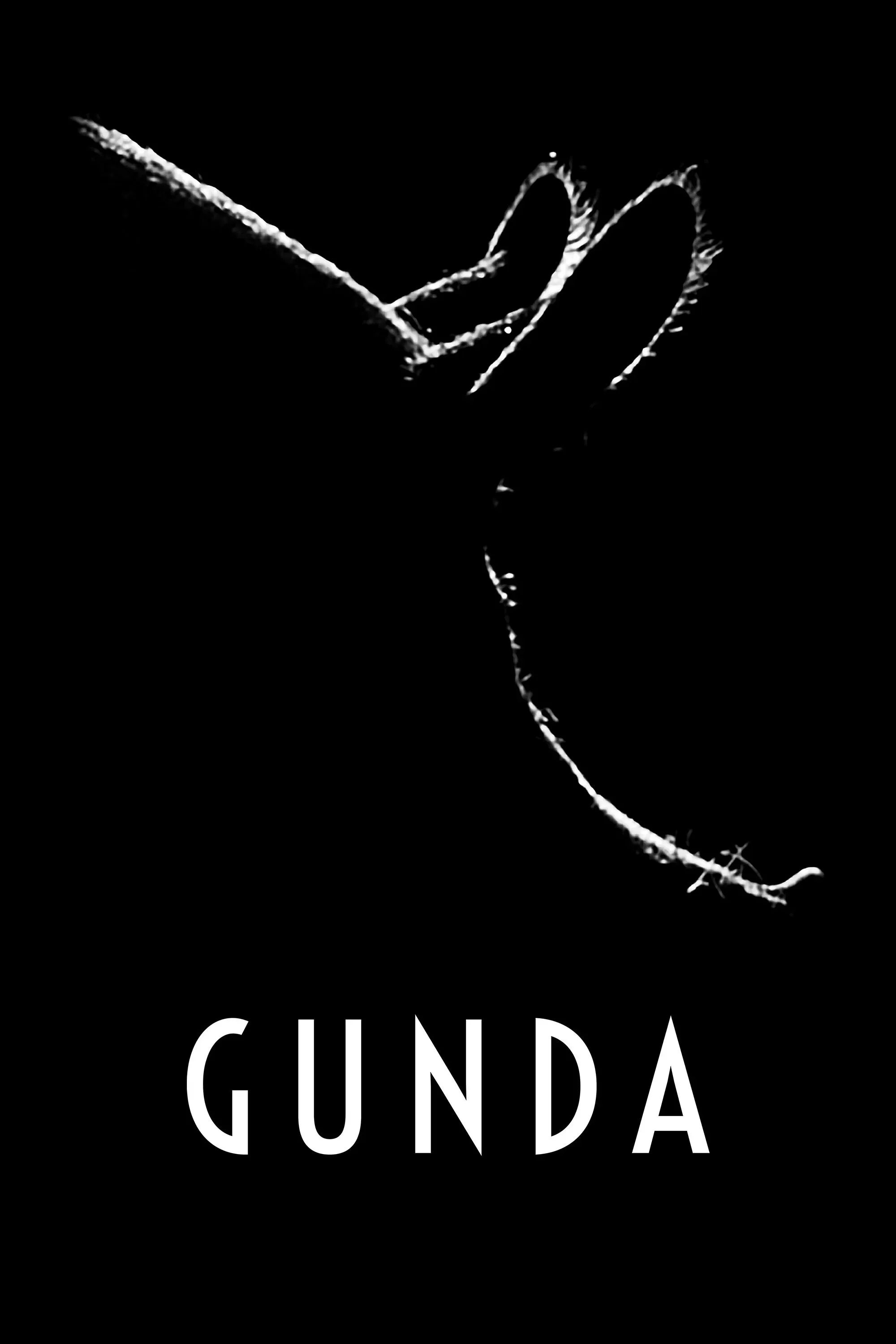 Poster of the movie Gunda