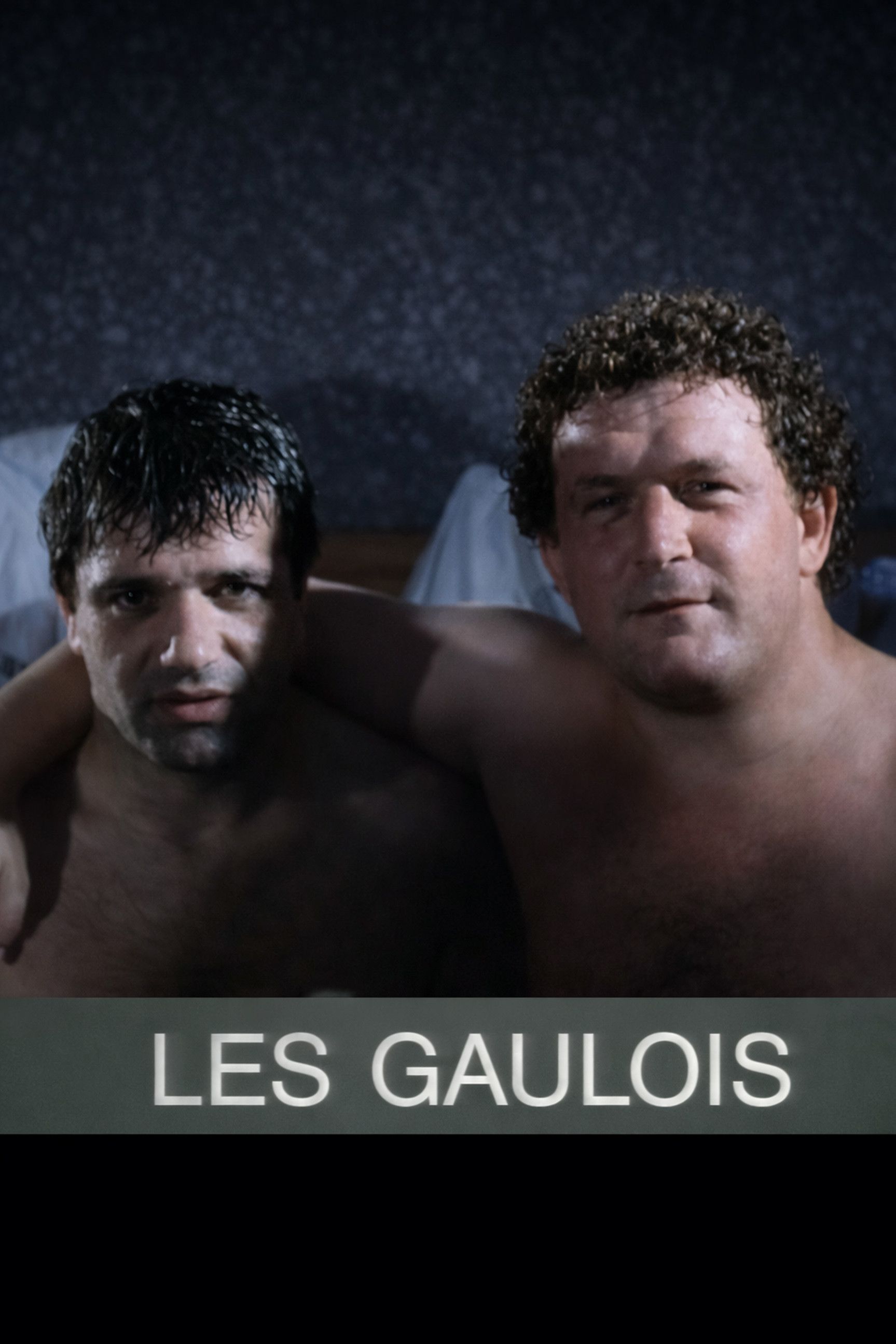 Poster for The Gauls