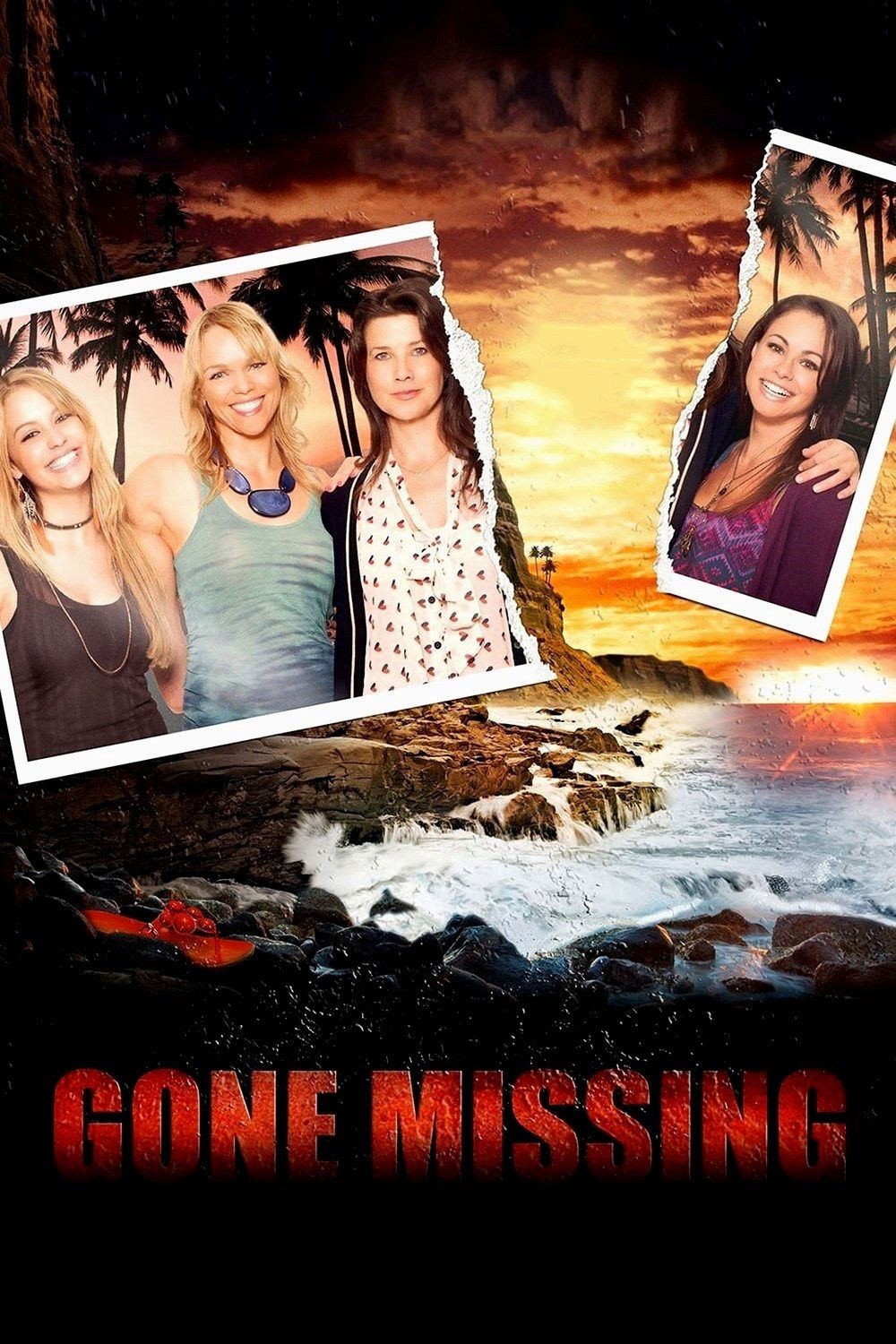 Poster of the movie Gone Missing