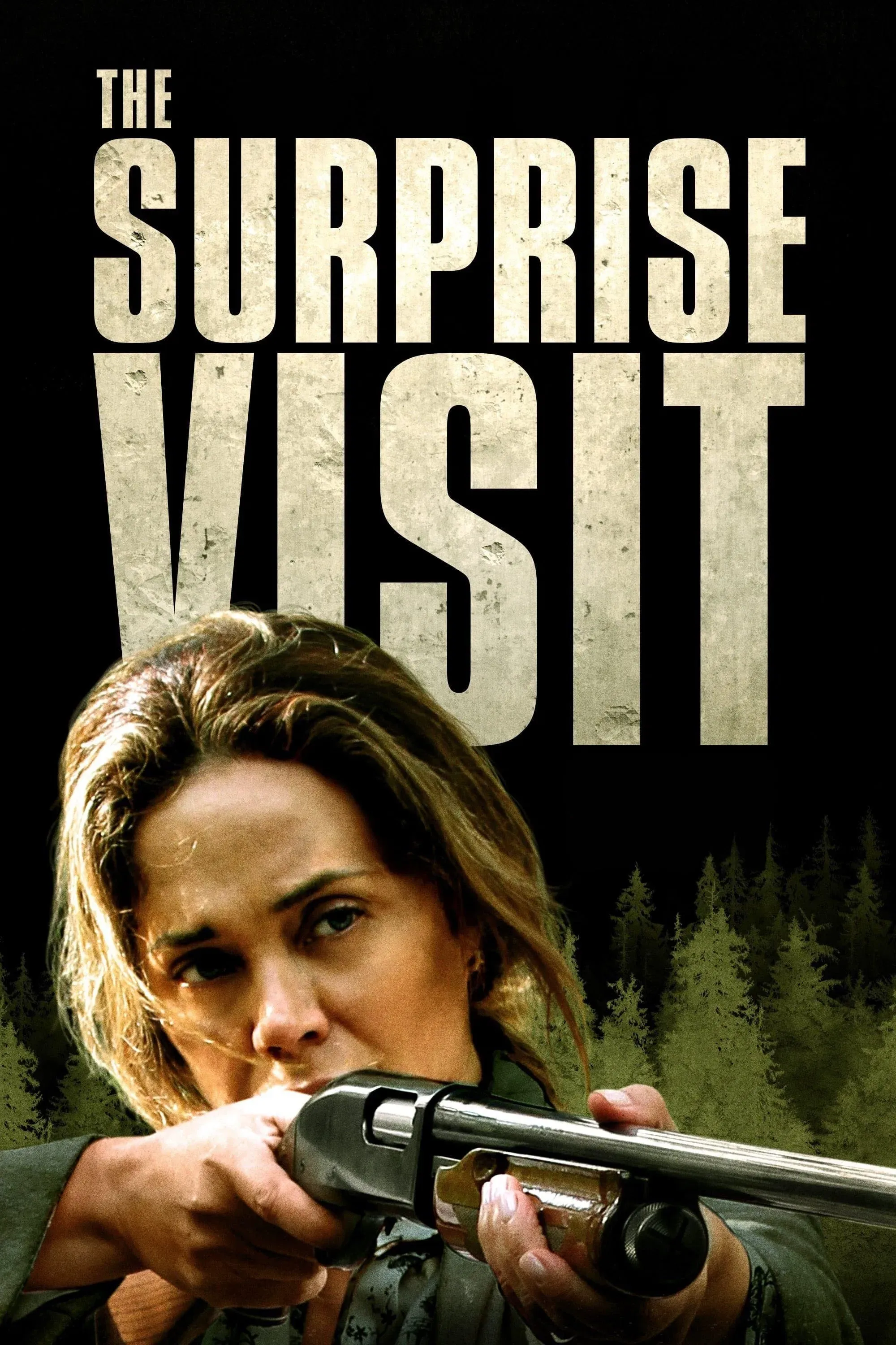 Poster of the movie The Surprise Visit