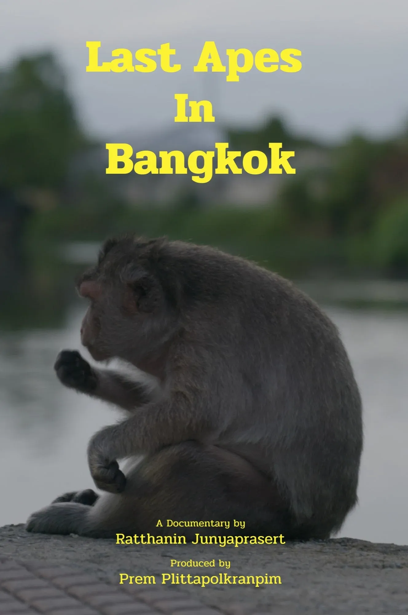 Poster for Last Apes In Bangkok