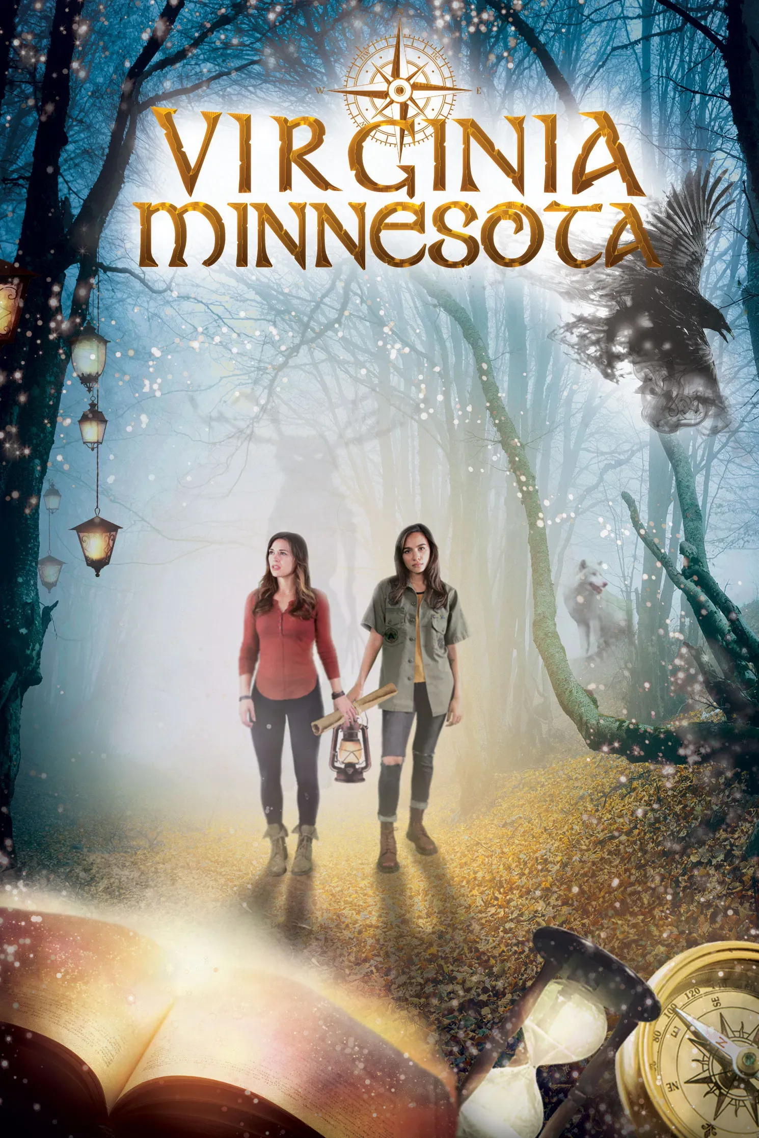 Poster of the movie Virginia Minnesota